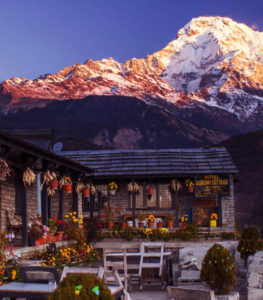 Tea house Trekking In Nepal